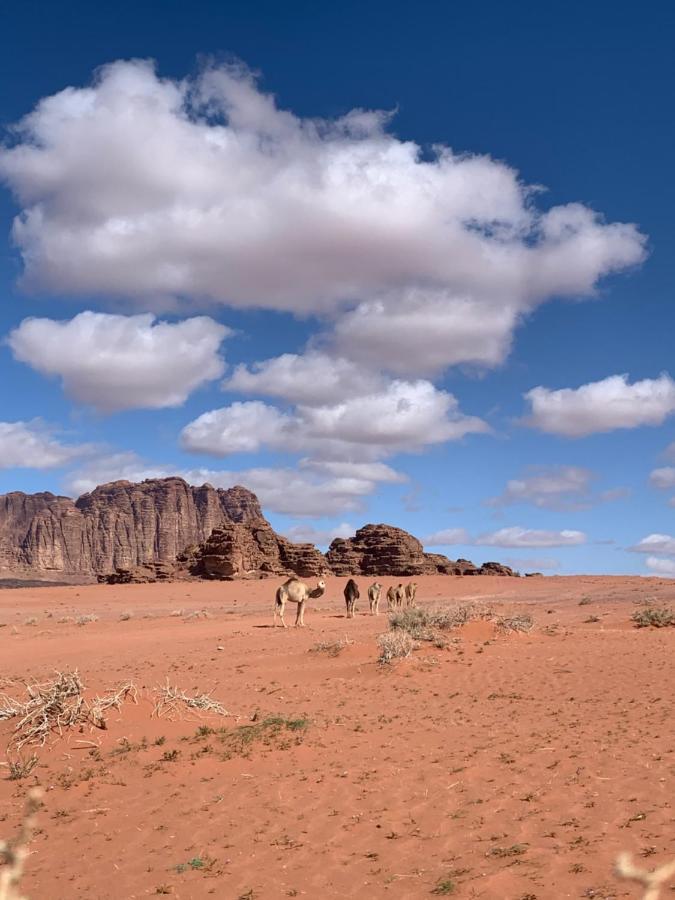 Wadi Rum Story Eksteriør billede