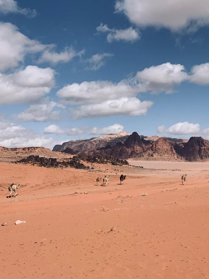 Wadi Rum Story Eksteriør billede